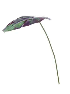 Kunst Monsterablad Paars Groen met paars blad en groene accenten op steel.