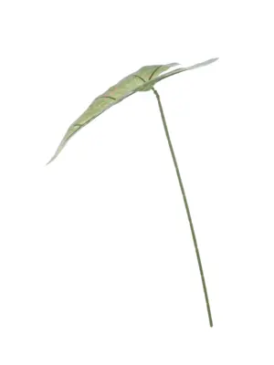 Kunst Syngoniumblad Groen met donkergroene tinten en lichtroze spikkels op steel.