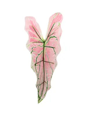 Kunst Syngoniumblad Roze met zachtroze blad en groene nerf op buigzame steel.