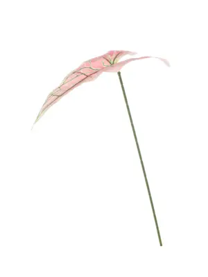 Kunst Syngoniumblad Roze met zachtroze blad en groene nerf op buigzame steel.