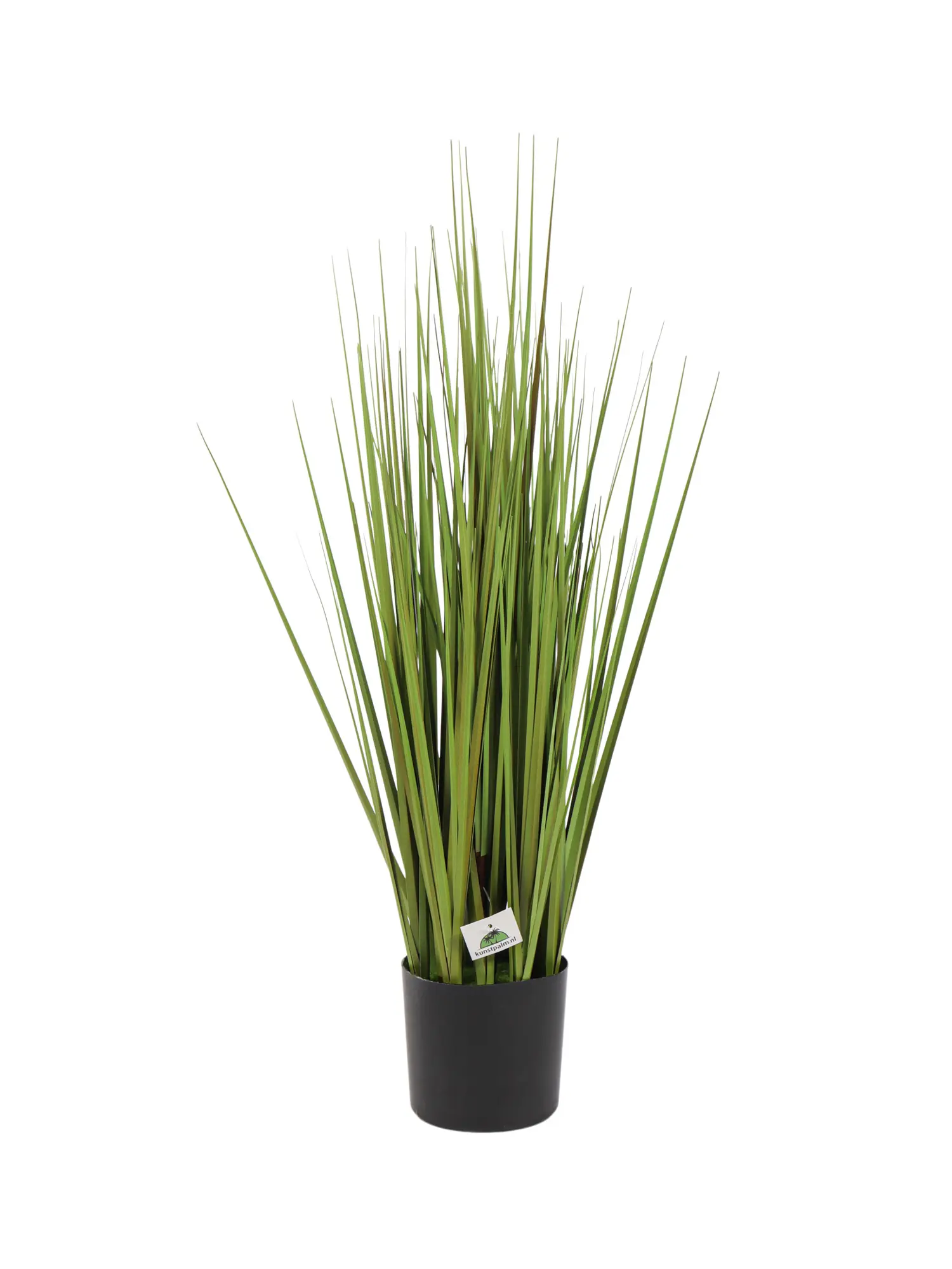 Kunstgrasplant In Pot 70cm met volle groene grashalmen in zwarte pot