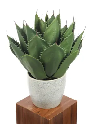 Kunstplant Agave Breedblad 50cm van Kunstpalm.nl