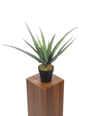 Kunstplant Aloë Vera Real Touch