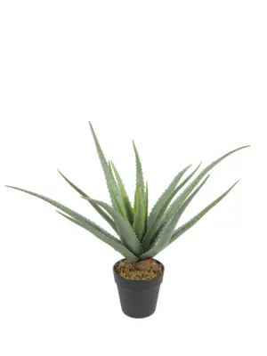 Kunstplant Aloë Vera Real Touch 50cm