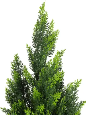 Kunststruik Conifeer 90cm – levensechte kunstplant met UV-bescherming, 35 cm breed, perfect voor balkonafscheiding, verkrijgbaar bij Kunstpalm.nl"