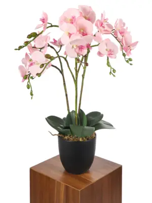 Kunstplant orchidee roze 70cm met drie stammen en grote roze bloemen.