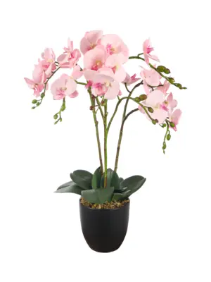 Kunstplant orchidee roze 70cm met drie stammen en grote roze bloemen.