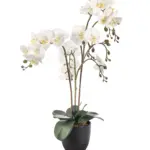 Kunstplant orchidee wit 70cm met drie stammen en grote witte bloemen.