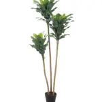 Dracaena Kunstplant 145 cm – levensechte kunstplant met drie stammen en volle kruinen, 75 cm breed, verkrijgbaar bij Kunstpalm.nl