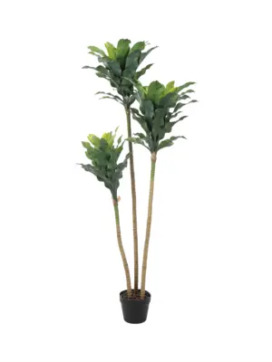 Dracaena Kunstplant 145 cm – levensechte kunstplant met drie stammen en volle kruinen, 75 cm breed, verkrijgbaar bij Kunstpalm.nl