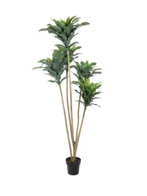 Dracaena kunstplant 200 cm hoog – levensechte, natuurgetrouwe kunstboom met volle bladrozetten, ideaal voor winkel, showroom en huis. Onderhoudsvrij en stevig