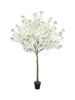 Kunst Bloesemboom Blanche 225 cm – volle witte bloesemboom met 130 cm doorsnede, levensechte takken en helderwitte bloemen, verkrijgbaar bij Kunstpalm.nl