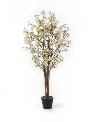 Kunst Bloesemboom Sakura Wit 120cm – Stijlvolle kunstbloesemboom met witte bloemen en gele accenten van Kunstpalm.nl