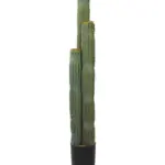 Kunst Cactus Saguaro 130cm – levensechte kunstcactus met drie natuurlijke zuilen en vaalgroene kleur van Kunstpalm.nl