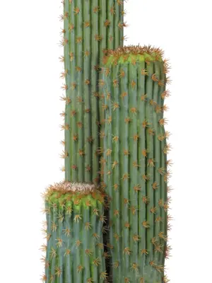 Realistische kunstcactus Saguaro 130cm – decoratieve kunstplant met drie hoogtes en vaalgroene kleur