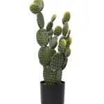 Kunst Schijfcactus Akita 60cm – levensechte schijfcactus met drie vertakte stammen en witte naaldbundels van Kunstpalm.nl