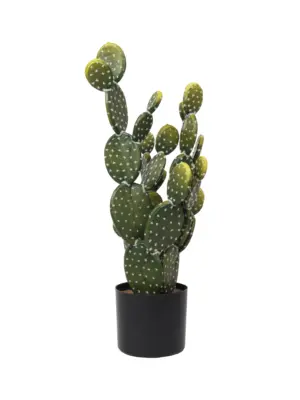 Kunst Schijfcactus Akita 60cm – levensechte schijfcactus met drie vertakte stammen en witte naaldbundels van Kunstpalm.nl