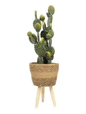 Kunst Schijfcactus Akita 60cm – compacte kunstcactus met natuurgetrouwe schijven en stevige pot
