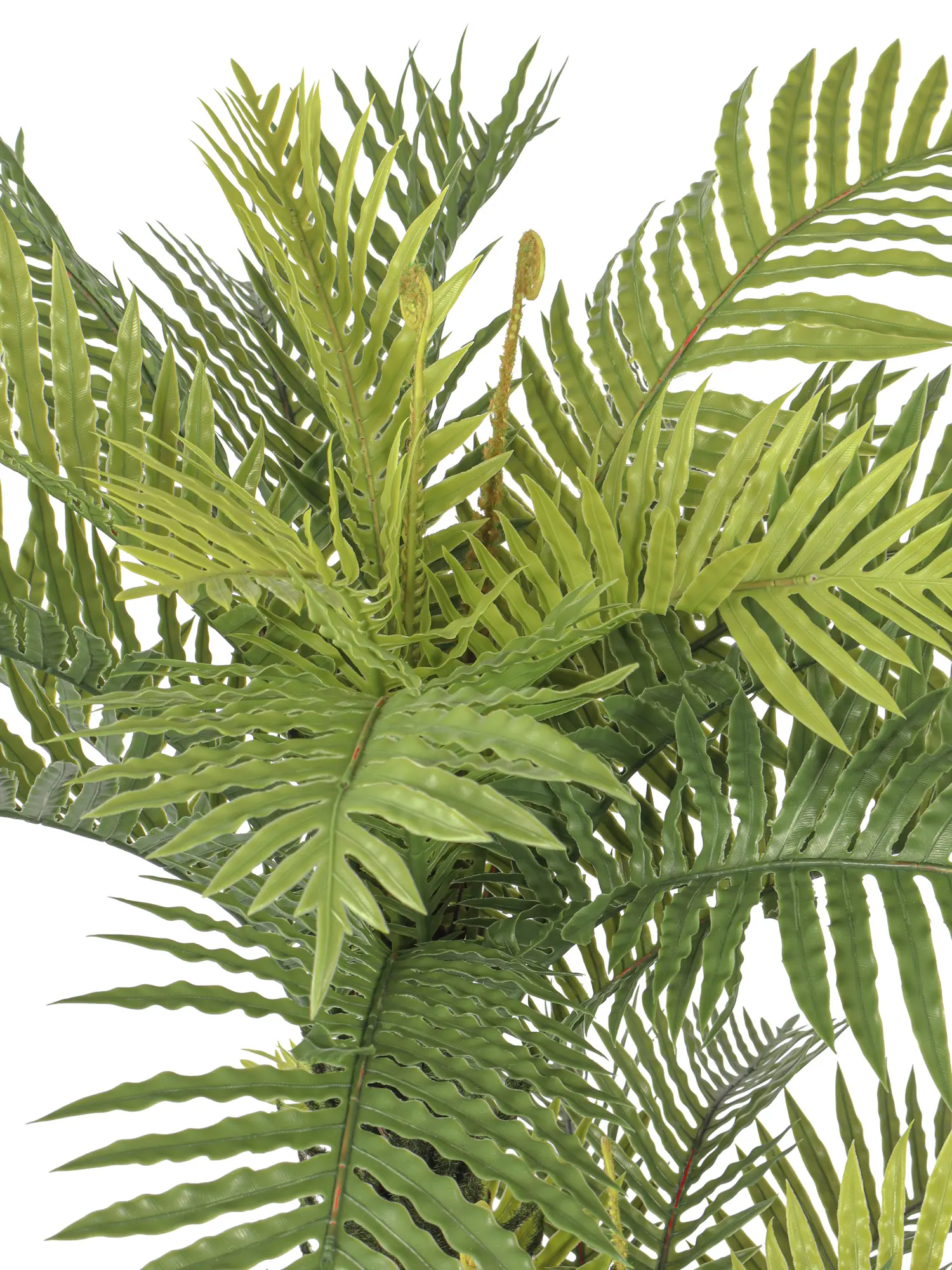 Kunstpalm met twee stammen – Kunst Varenpalm Barbados 100cm van Kunstpalm.nl