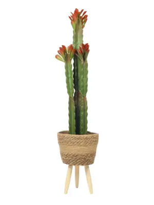 Kunstcactus Red Rubra 83cm – onderhoudsvrije cactus voor thuis en zakelijk gebruik