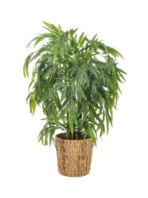 unstplant Bamboe Groen 110cm in moderne pot – perfect voor ontvangstruimtes, gangen en vakantiehuisjes. Onderhoudsvrij en duurzaam.
