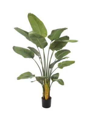Kunst Banaanboom Birma 180cm - Kunstpalm.nl