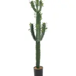 Kunst Cactus Euphorbia 100cm – levensechte nepcactus met centrale zuil, zijscheuten en kenmerkende blaadjes van Kunstpalm.nl