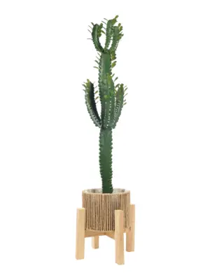 Kunst Cactus Euphorbia 100cm – decoratieve kunstcactus met nepnaaldjes en centrale zuil voor thuis en zakelijk gebruik