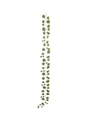 Kunstplant Slinger Eucalyptus 190cm met realistische nep bladeren