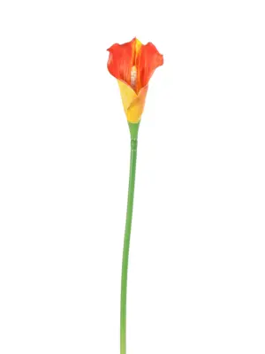 Realistische kunst lotus voor moderne interieurdecoratie