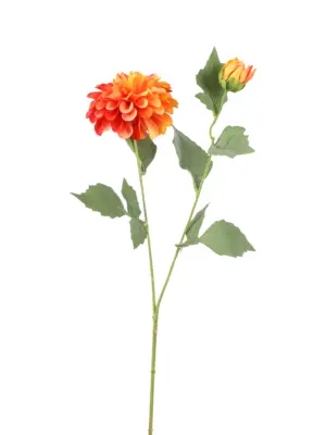 Oranje nepdahlia van Kunstpalm.nl met grote en kleine bloem.