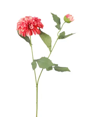 Dahlia Kunstbloem Rood Wit met grote en kleine bloem.