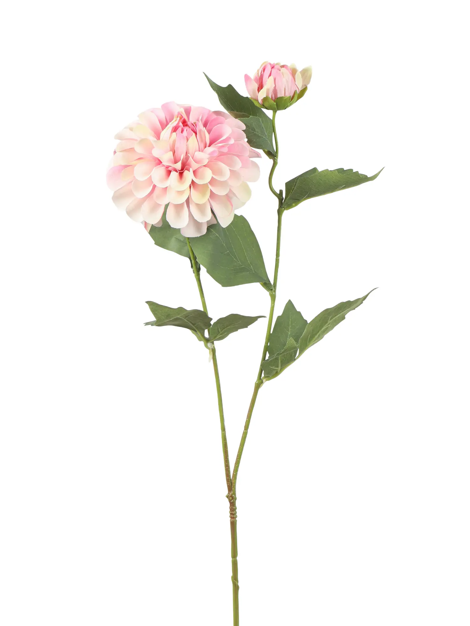 Roze witte nepdahlia van Kunstpalm.nl met grote en kleine bloem en groene bladeren voor een boeket kunstbloemen.