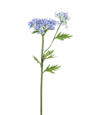 Kunstbloem Agapanthus Blauw met grote en kleine bloem.
