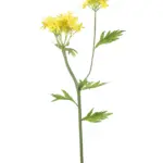 https://kunstpalm.nl/kunst-groendecoratie/kunstbloemen/