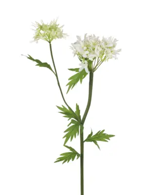 Kunstbloem Agapanthus Wit met grote en kleine bloem.
