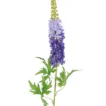 Kunstbloem Delphinium Blauw natuurgetrouw.