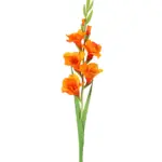 Kunstbloem Gladiool Oranje met open en gesloten kelken.