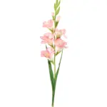 Kunstbloem Gladiool Roze met open en gesloten kelken.